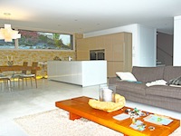 Villa Blonay TissoT Immobilien