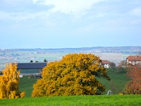Photo3