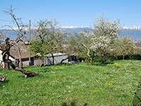 Photo3