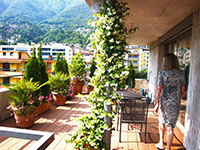 Vendre Acheter Minusio - Attique 3.5 pi&egrave;ces