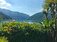Wohnung 3.5 Zimmer Melide