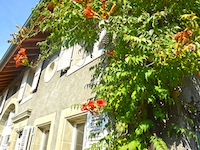 Stadthaus Penthéréaz TissoT Immobilien