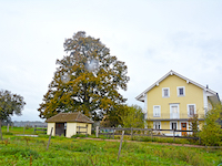 Bauernhaus Villars-le-Terroir TissoT Immobilien