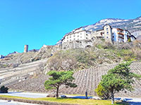 Photo3