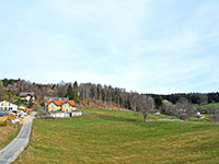 Photo3