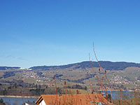 Photo3