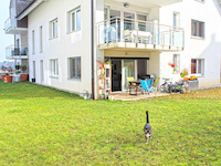 Wohnung 4.5 Zimmer Morrens