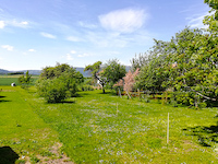 Wohnung 6.5 Zimmer Arnex-sur-Orbe