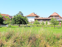 Photo3
