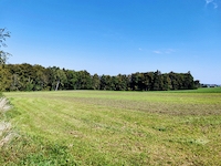 Mittelhaus 4.5 Zimmer Villarlod