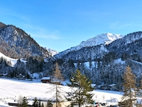 Photo3