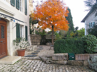Achat Vente Chavannes-le-Veyron - Maison villageoise 10 pi&egrave;ces
