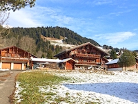 Chalet Les Diablerets TissoT Immobilien