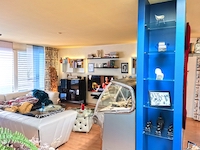 Bulle -             Doppeleinfamilienhaus 6.0 Zimmer