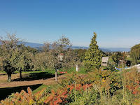 Photo3