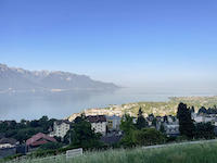 Agence immobili&egrave;re Chernex - TissoT Immobilier : Chalet 8.0 pi&egrave;ces
