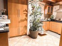 Montet (Broye) -             Gebäude 23.0 Zimmer