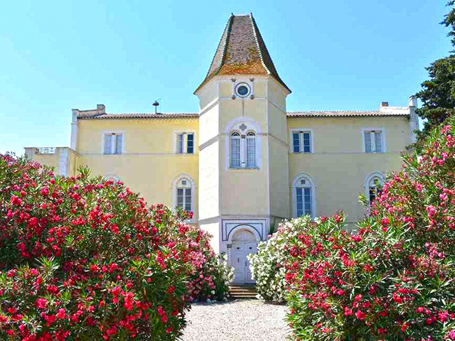 real estate - Béziers - Château 10.0 rooms