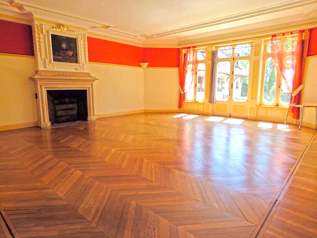 Toucy TissoT Realestate : Château 16.0 rooms