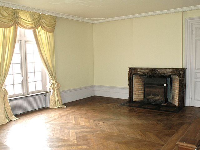 real estate - Steene - Château 20.0 rooms