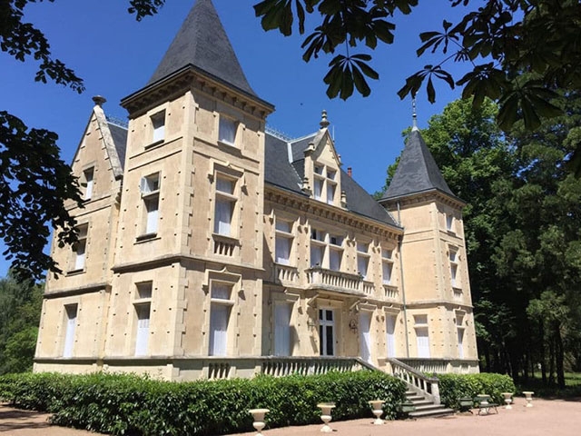 real estate - Vichy - Château 15.0 rooms