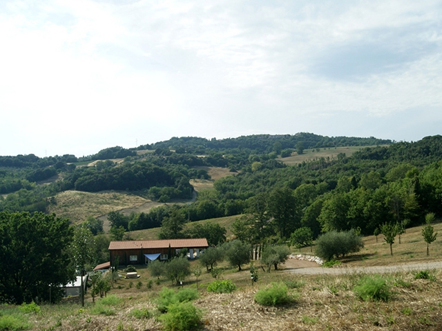 Serrazano 56044 Toscana - Farmhouse 10.0 rooms - TissoT Realestate