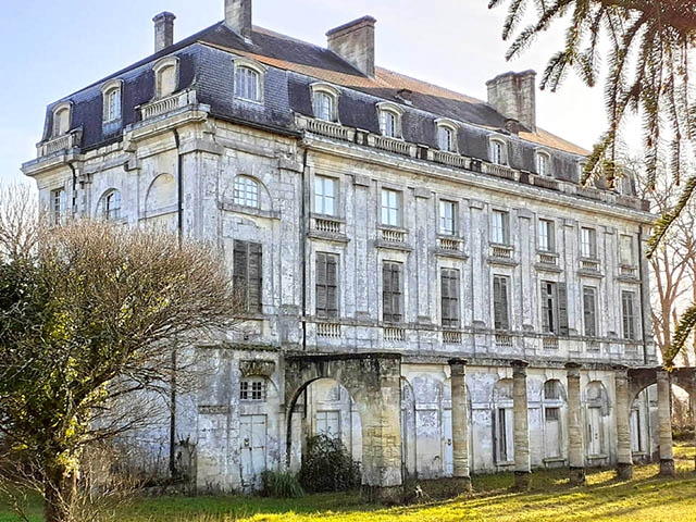 real estate - Saint-André-de-Cubzac - Castle 54.0 rooms