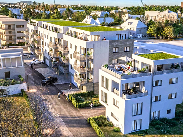 Rheinfelden -  Appartement - vente immobilier Allemagne Louer appartement TissoT 