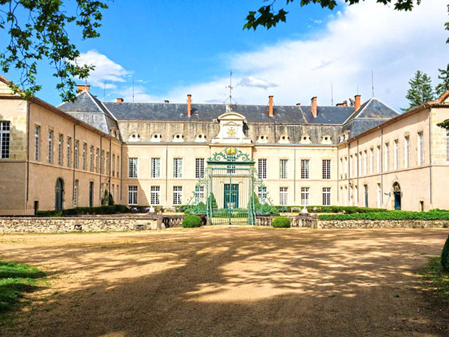 Clermont-Ferrand - Magnifique Château 17.0 pièces - Vente immobilière France