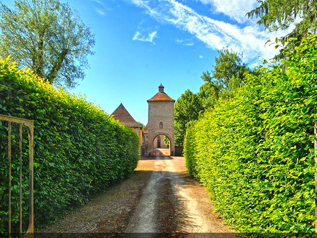 Saint-Pourçain-sur-Sioule TissoT Realestate : Château 8.0 rooms