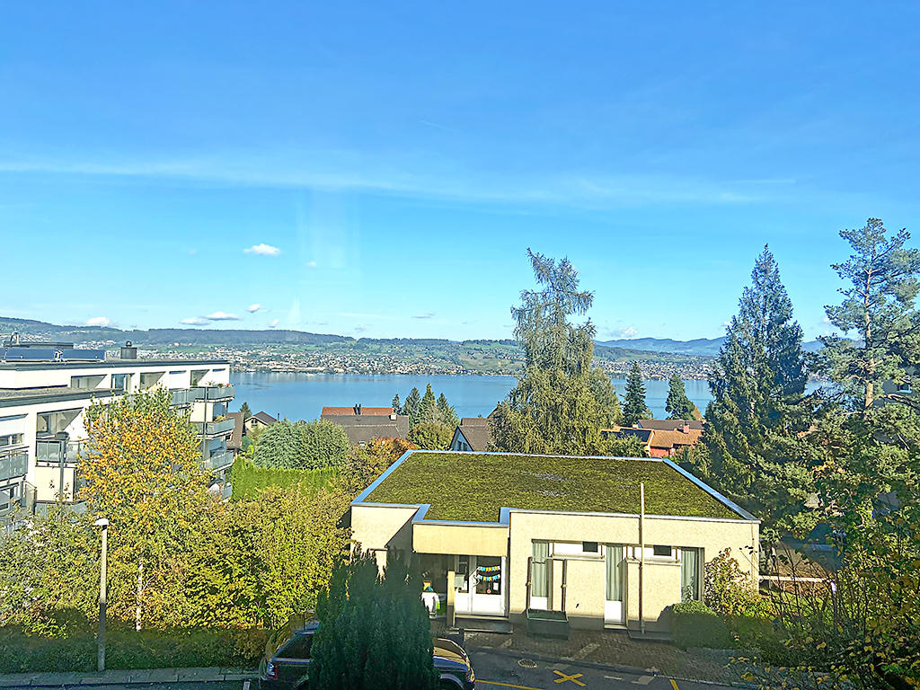 Wädenswil - Flat 4.5 rooms