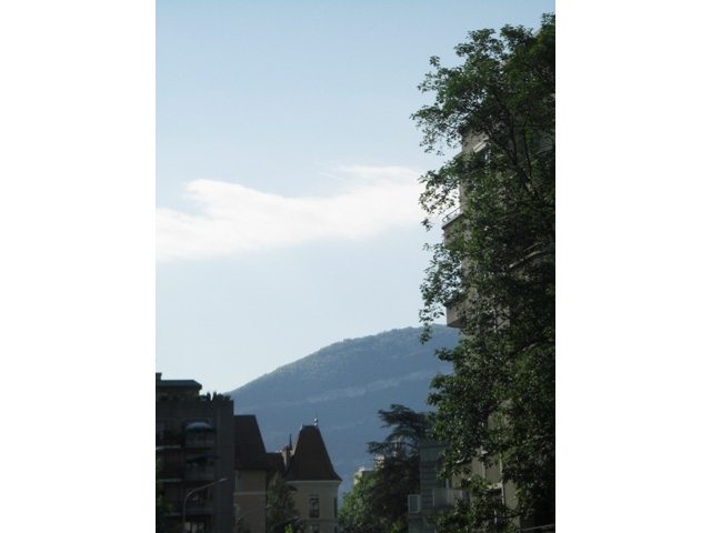 Genève TissoT Immobilier : Appartement 5.5 pièces