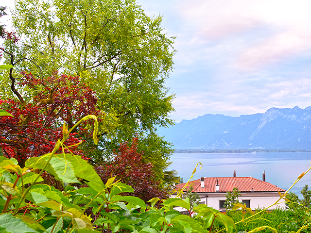 Montreux - Appartement 4.5 КОМНАТ