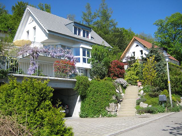 Himmelried -Einfamilienhaus 6.5 locali - acquisizione di proprietà