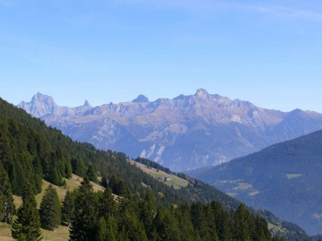 real estate - Torgon - Appartement 2.5 rooms