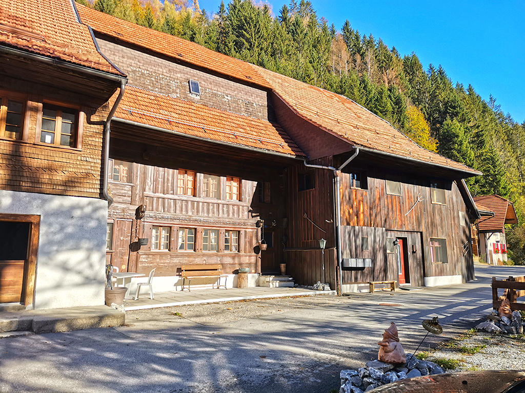 Charmey -Chalet 10.5 rooms - purchase real estate chalet in the mountains