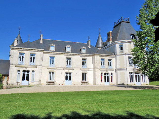 Toucy - Magnifique Château 16.0 pièces - Vente immobilière