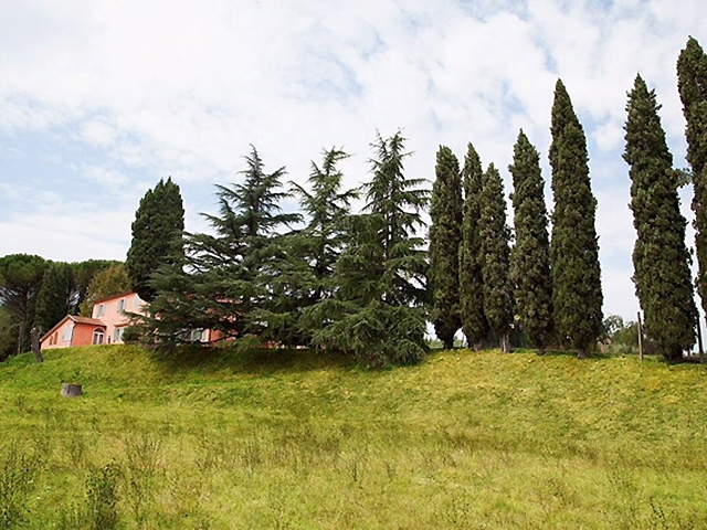Fauglia - Villa 8.5 locali - Italie immobiliare in vendita