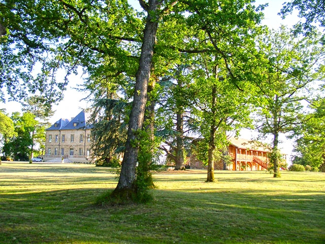 Nogaro 32110 LANGUEDOC-ROUSSILLON-MIDI-PYRENEES - Château 21.0 rooms - TissoT Realestate
