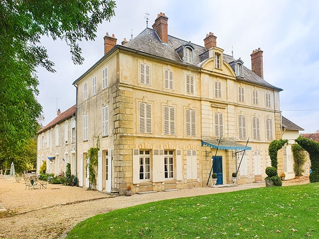 Fontainebleau -  Castle - Real estate sale France TissoT Realestate International TissoT 