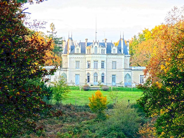 Bien immobilier - Bossay-sur-Claise - Château 15.0 pièces
