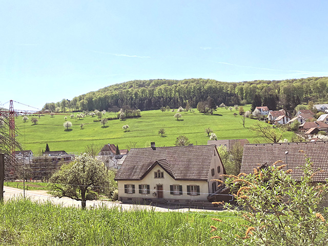 Zeiningen TissoT Immobilier : Appartement 4.5 pi&egrave;ces