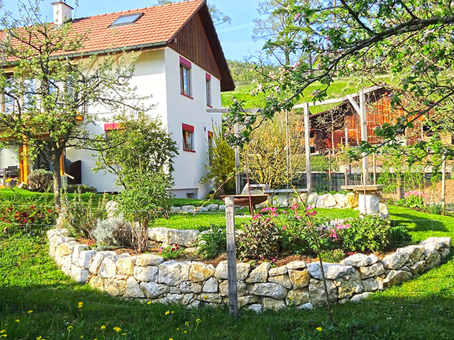 Bien immobilier - Blauen - Villa individuelle 5.5 pièces