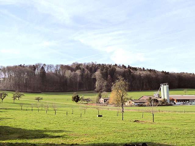 Neerach TissoT Immobilier : Appartement 5.5 pi&egrave;ces