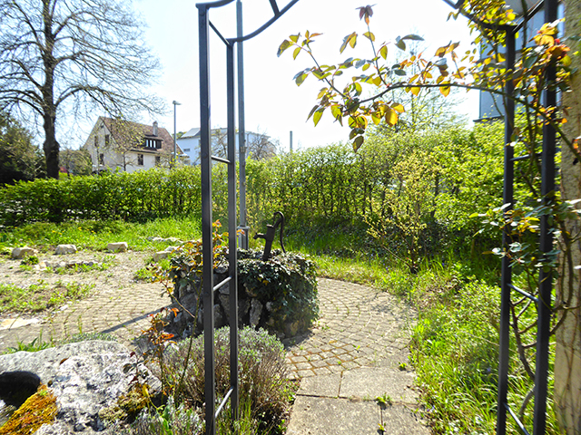 Bien immobilier - Brugg - Maison 7.0 pi&egrave;ces