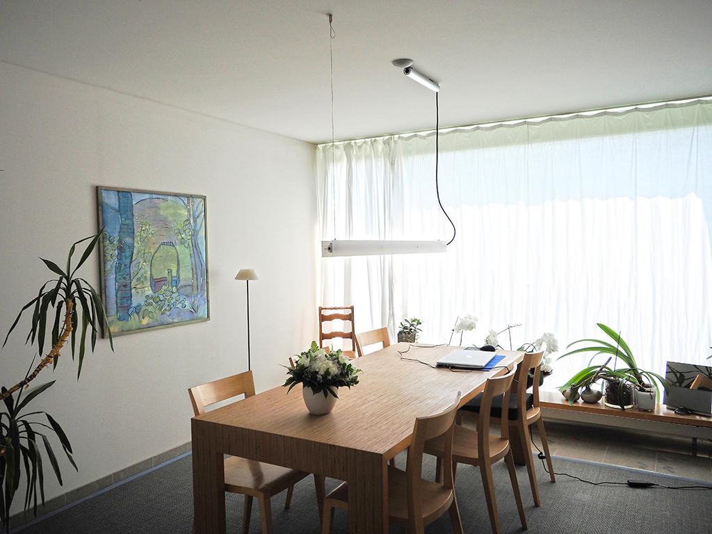 Dielsdorf 8157 ZH - Ville gemelle 5.5 rooms - TissoT Immobiliare