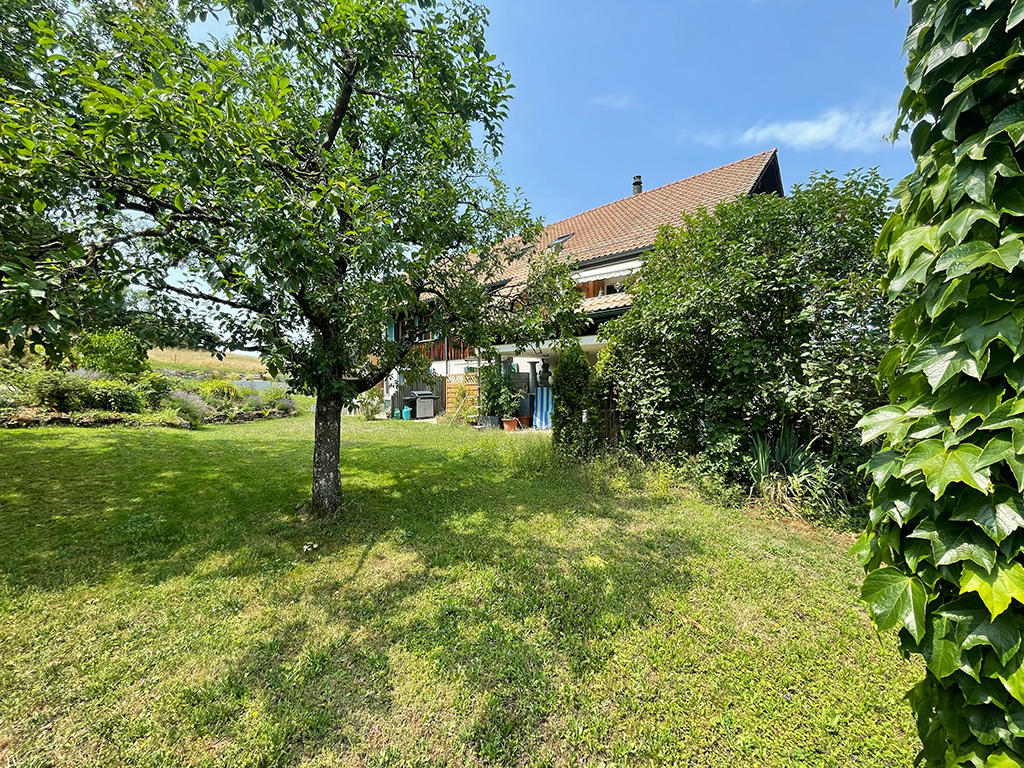Bien immobilier - Bözberg - Maison 20.5 pi&egrave;ces