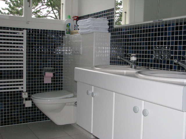 Bien immobilier - Chavannes-de-Bogis - Villa individuelle 8 pi&egrave;ces