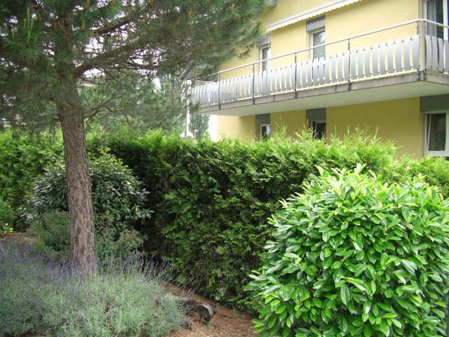 La Tour-de-Peilz - Appartement 4.5 pi&egrave;ces