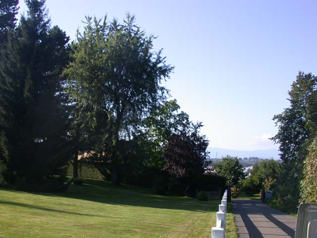 Immobiliare - Le Mont-sur-Lausanne - Villa individuale 8 locali